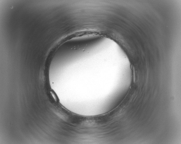 X0000069810252200606091842