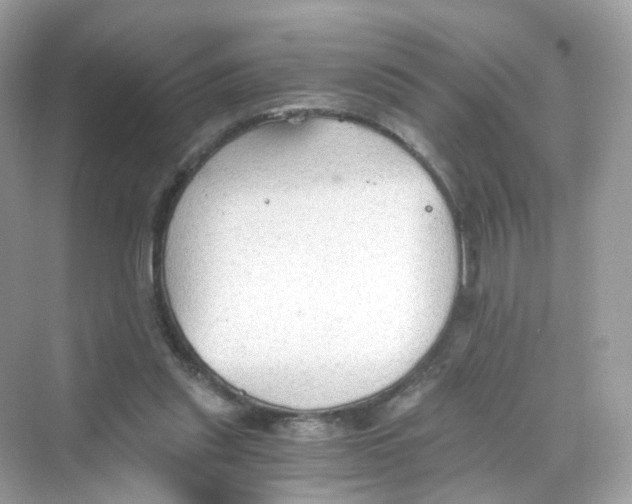 X0000069810253200606091842