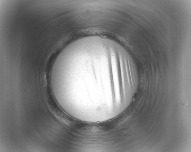 X0000069810254200606091842