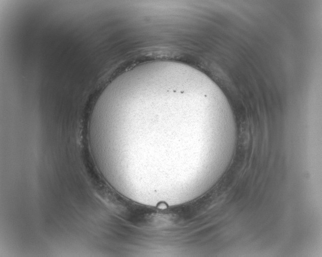 X0000069810255200606091842