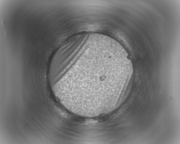 X0000069810257200606091842