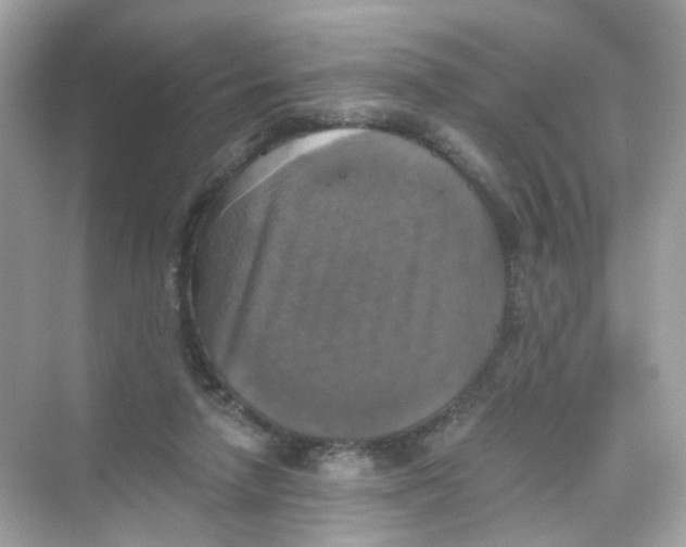 X0000069810258200606091842