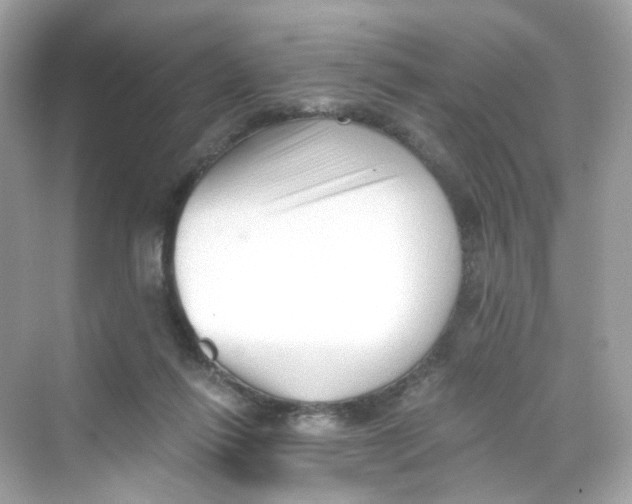 X0000069810262200606091842