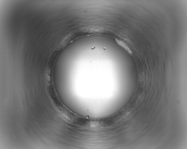 X0000069810264200606091842