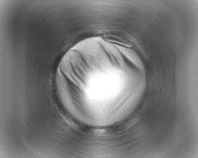 X0000069810265200606091842