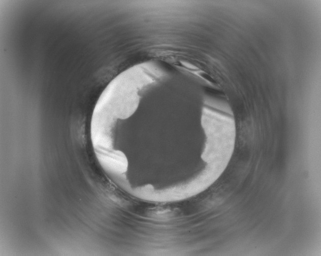 X0000069810267200606091842