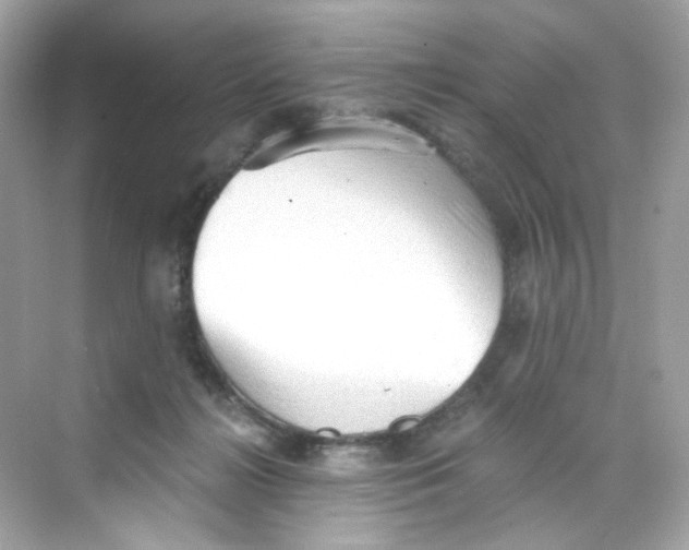 X0000069810268200606091842