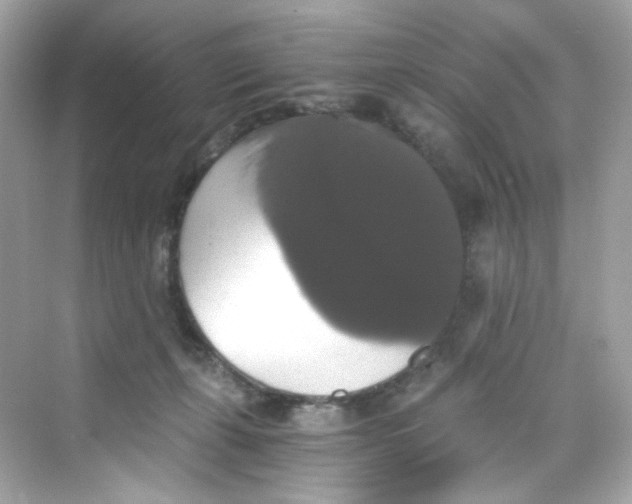 X0000069810271200606091842