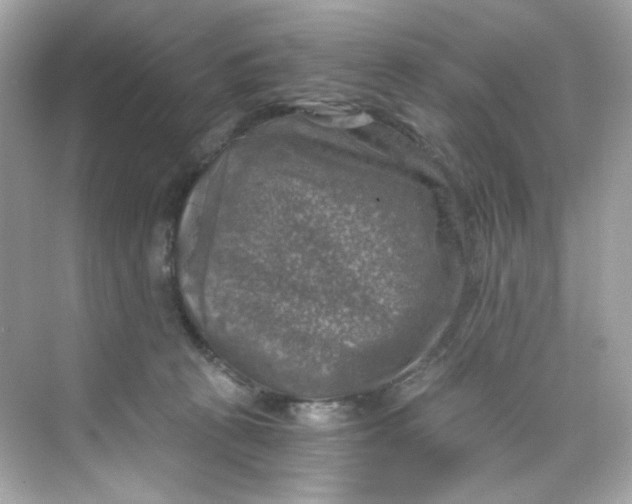 X0000069810273200606091843