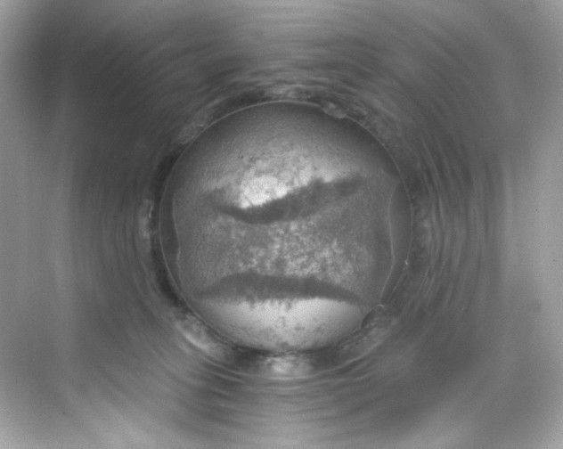 X0000069810275200606091843