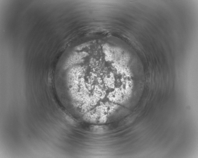 X0000069810277200606091843