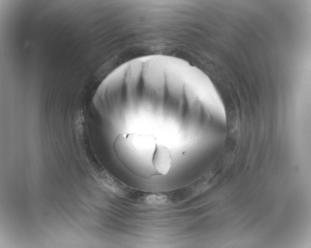 X0000069810279200606091843