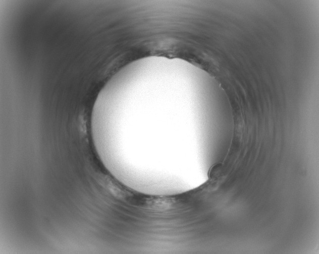 X0000069810282200606091843