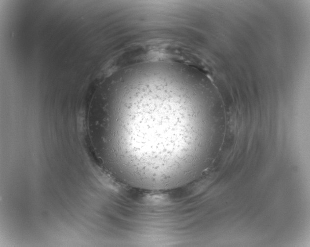 X0000069810283200606091843