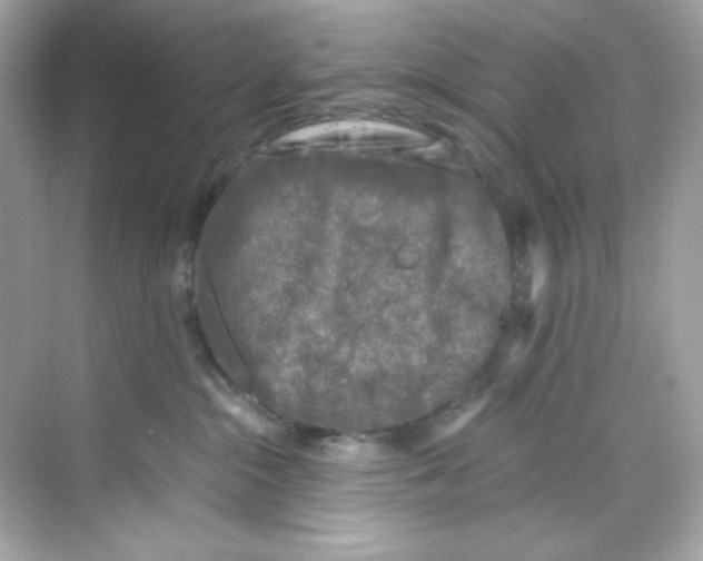 X0000069810284200606091843