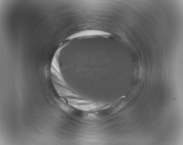 X0000069810285200606091843