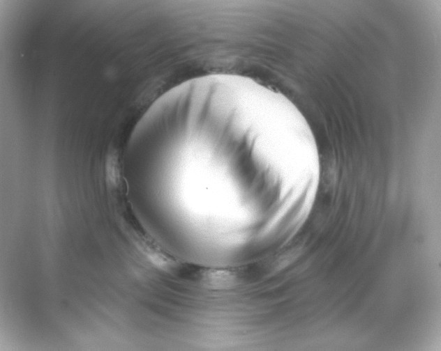 X0000069810287200606091843