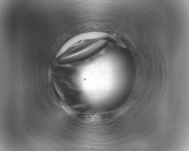 X0000069810288200606091843