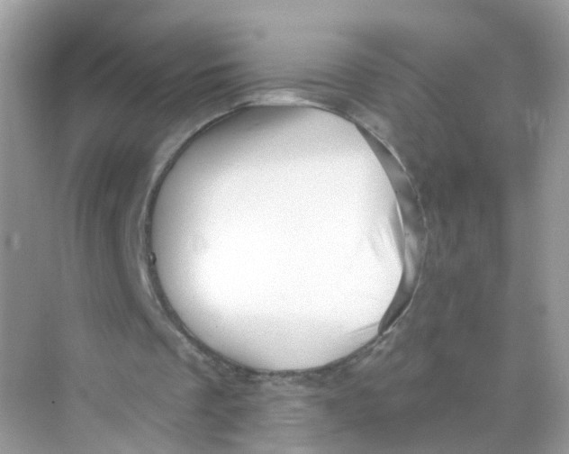 X0000069810289200606091842