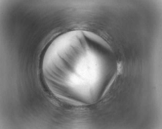 X0000069810291200606091842