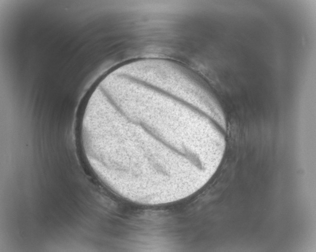 X0000069810292200606091842