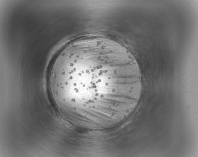 X0000069810294200606091842