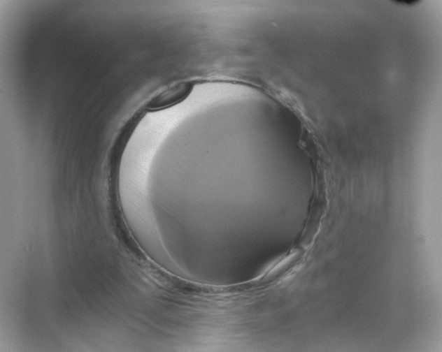 X0000069810295200606091842