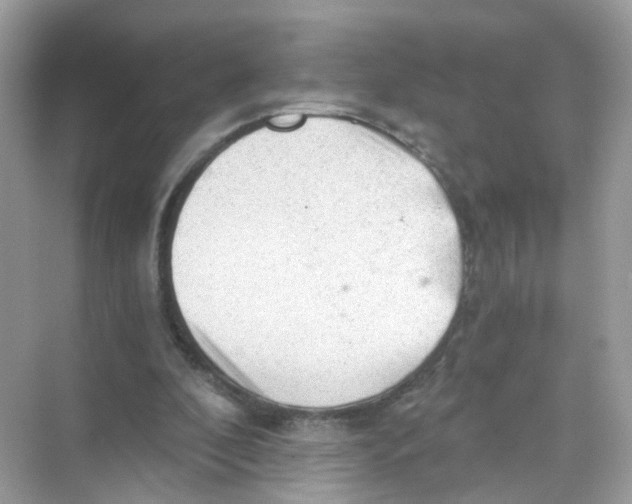 X0000069810296200606091842