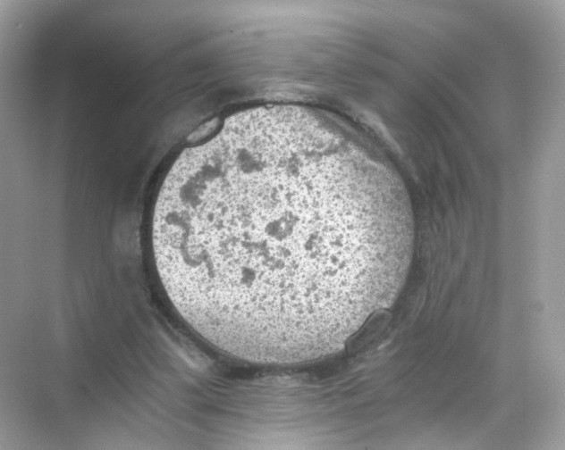 X0000069810299200606091842