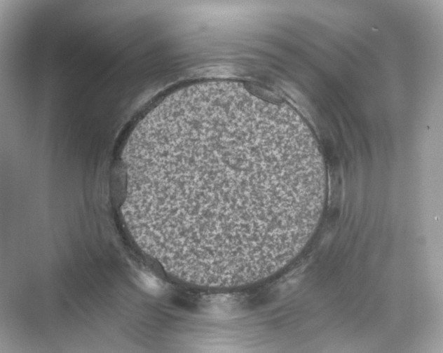 X0000069810301200606091842