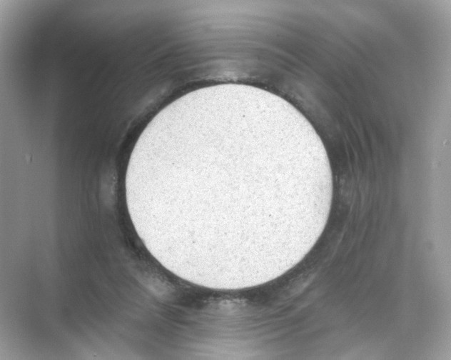 X0000069810304200606091842