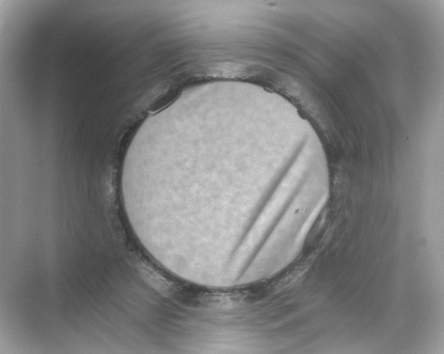 X0000069810305200606091842