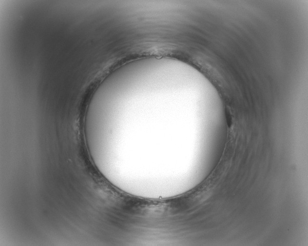 X0000069810306200606091842