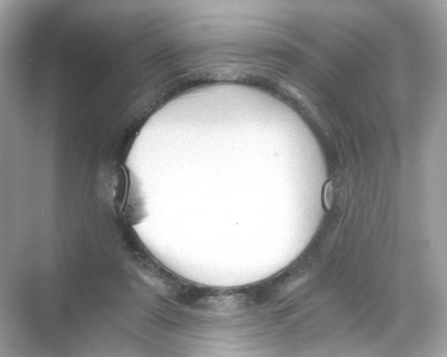 X0000069810307200606091842