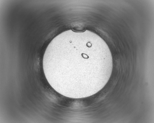 X0000069810308200606091842