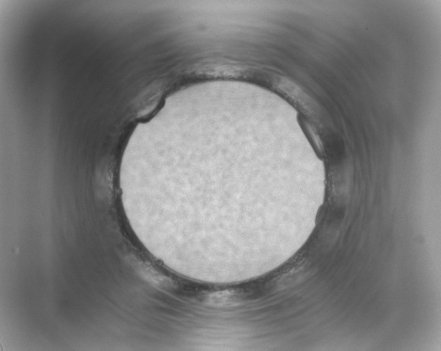 X0000069810309200606091842