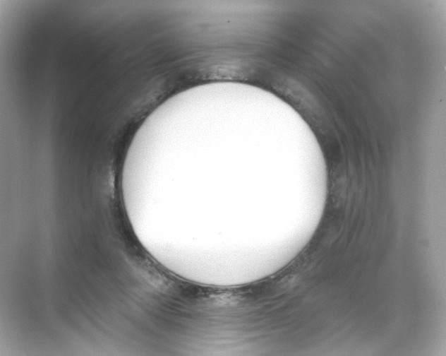 X0000069810310200606091842