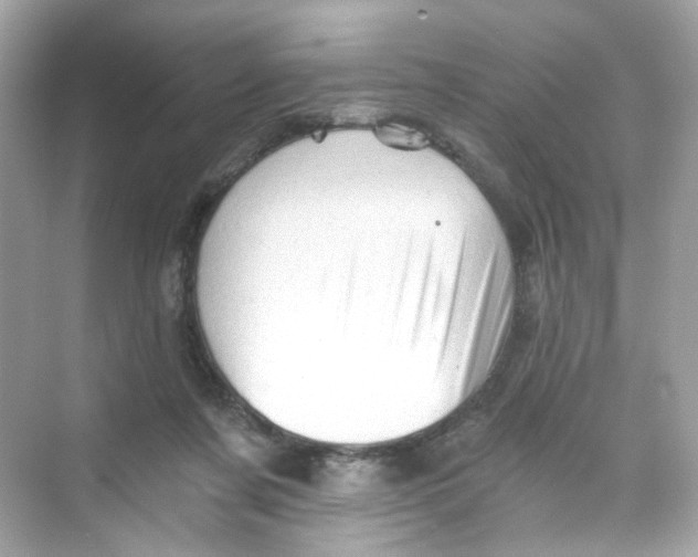 X0000069810311200606091842