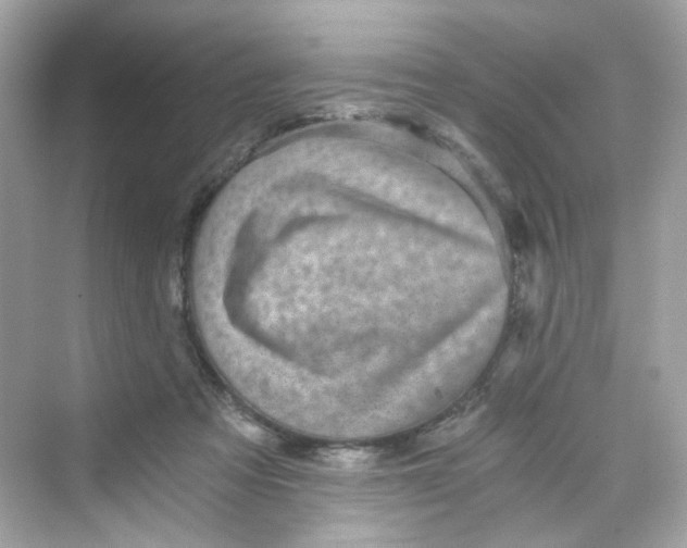 X0000069810313200606091842