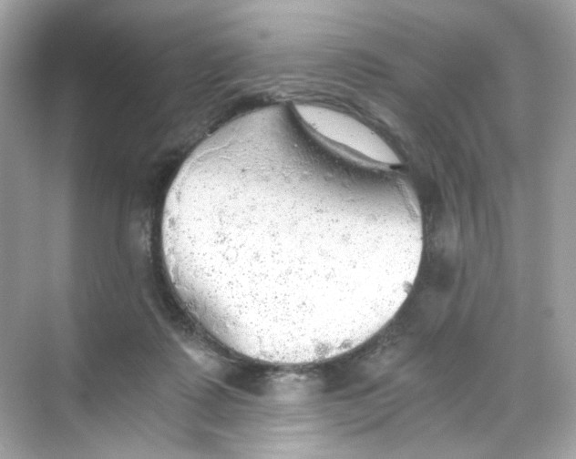 X0000069810315200606091842