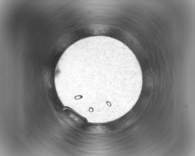 X0000069810316200606091841