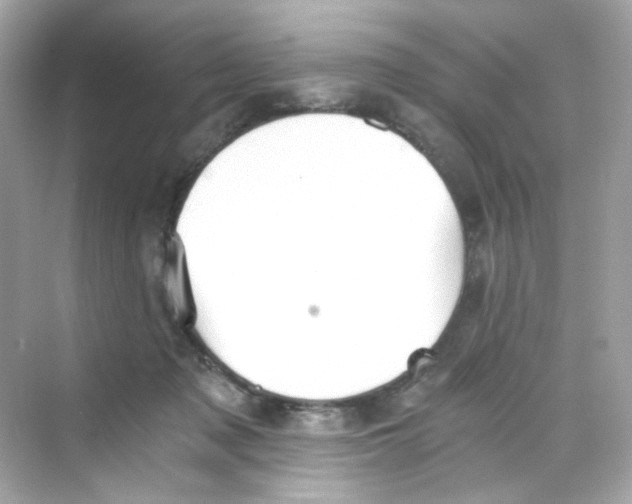 X0000069810317200606091841