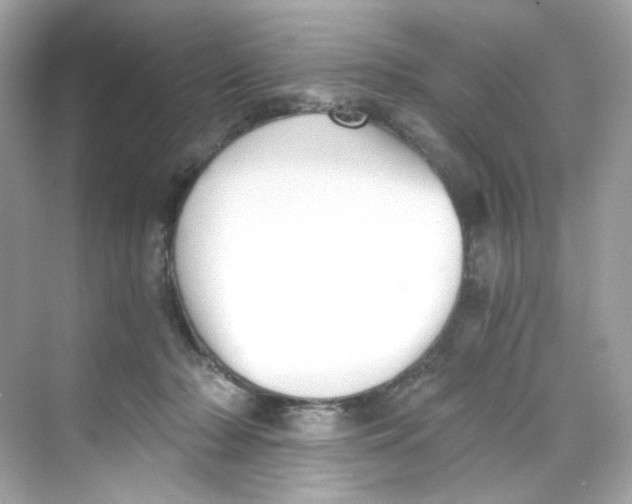 X0000069810318200606091841