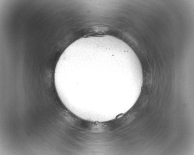 X0000069810321200606091841