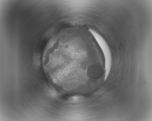 X0000069810323200606091841