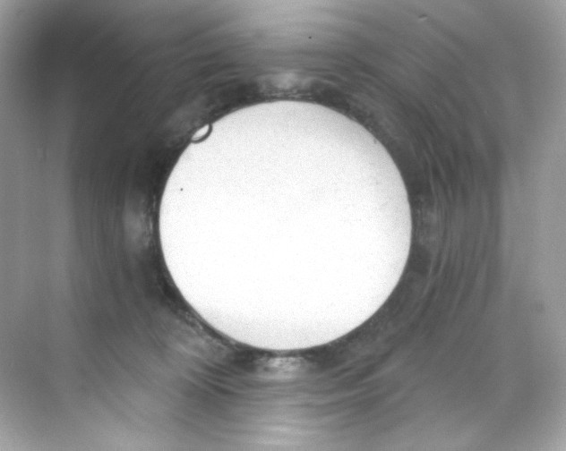 X0000069810324200606091841