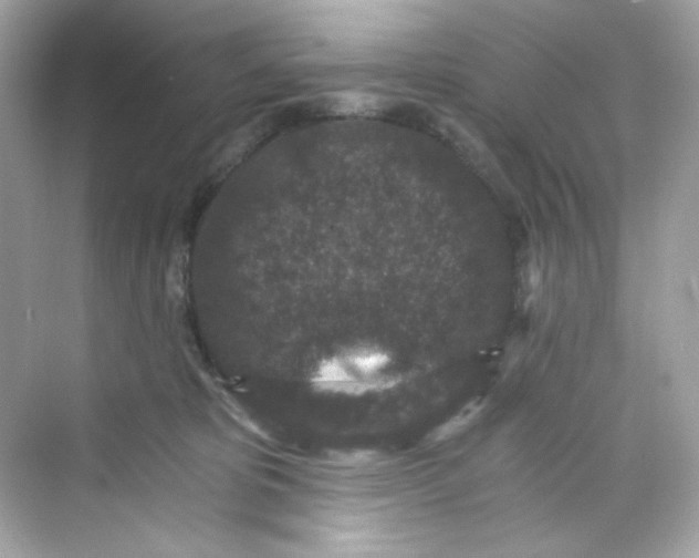 X0000069810325200606091841