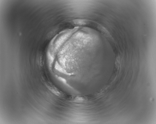 X0000069810330200606091841