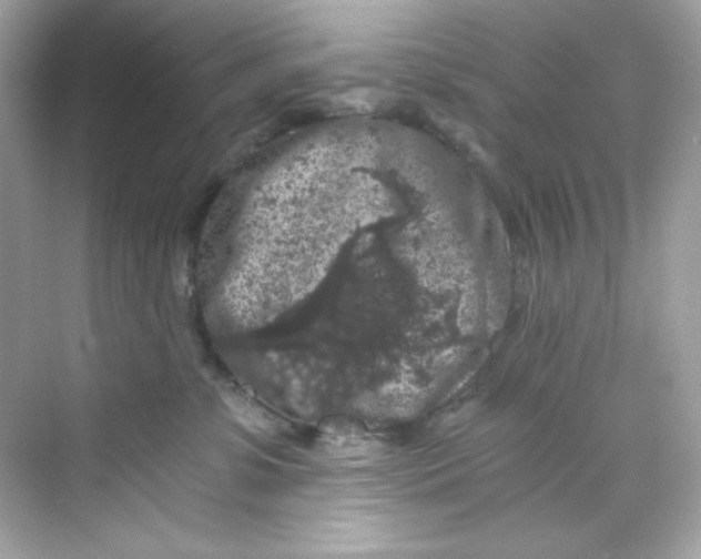 X0000069810331200606091841