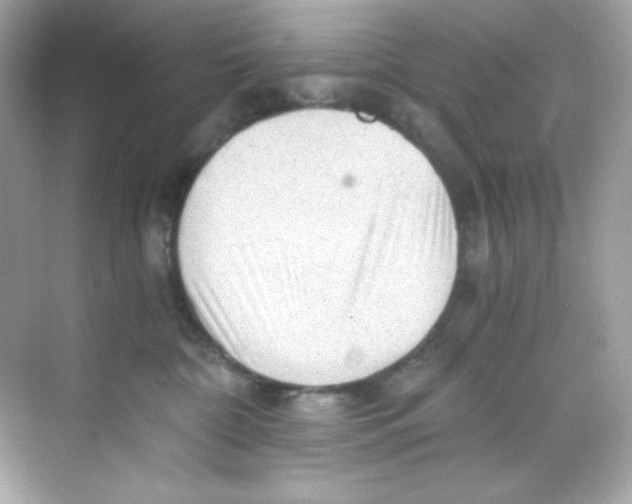 X0000069810332200606091841